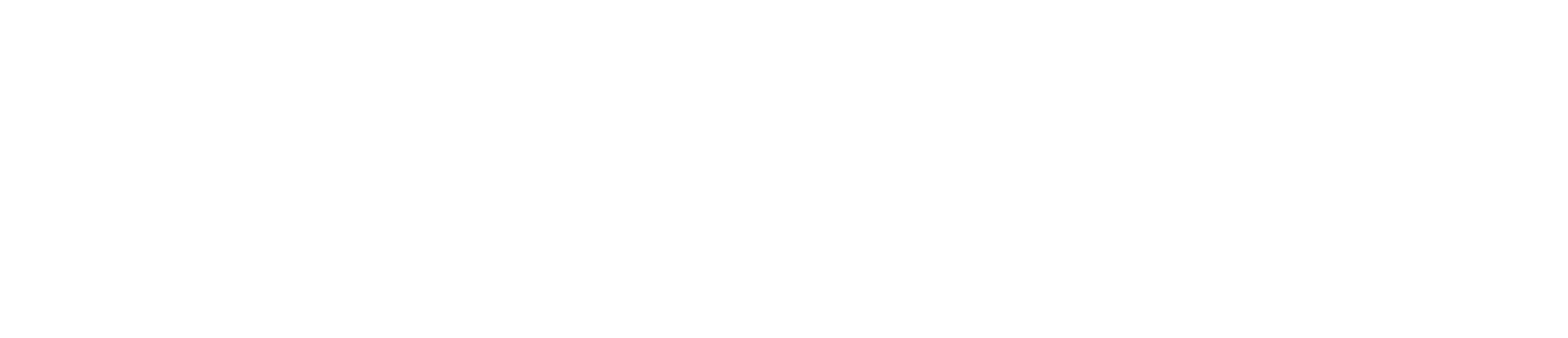 New Skin Logo